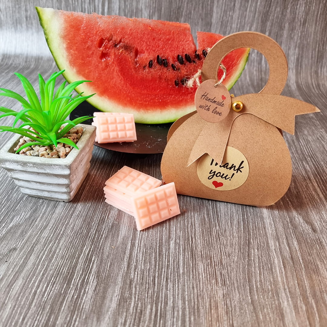 watermelon_chocolate_bag_3.jpg